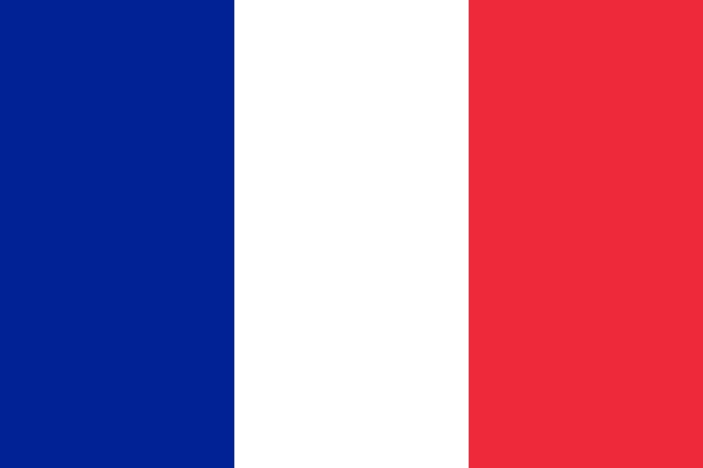 french-flag-large